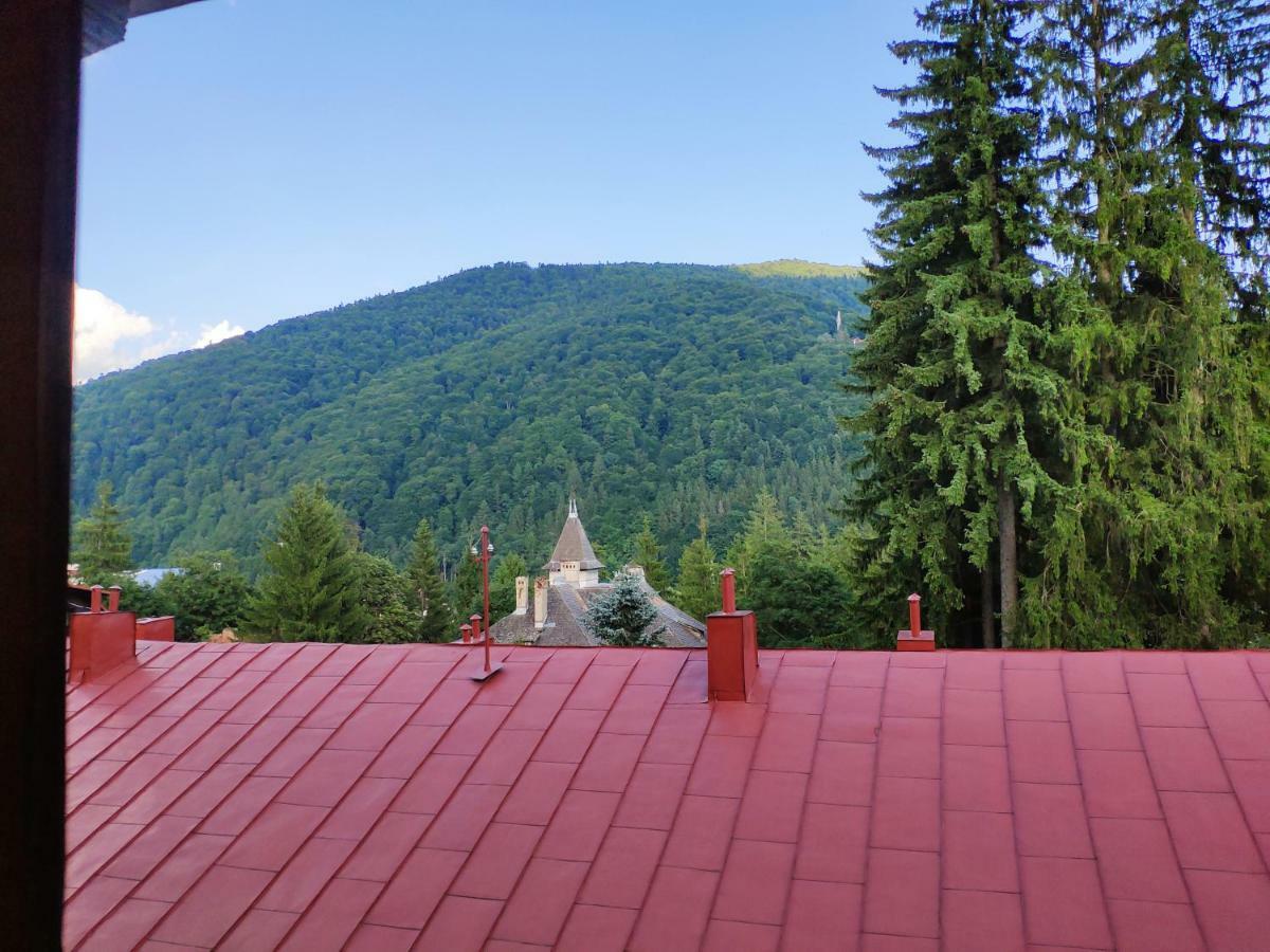 Cozy Loft At Teleferic Apartamento Sinaia Exterior foto