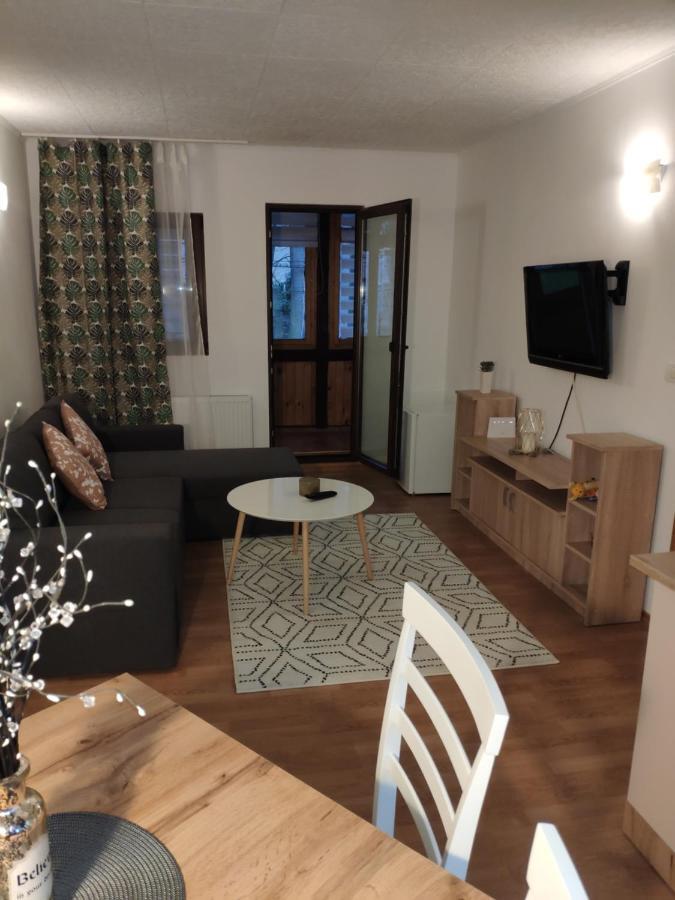 Cozy Loft At Teleferic Apartamento Sinaia Exterior foto